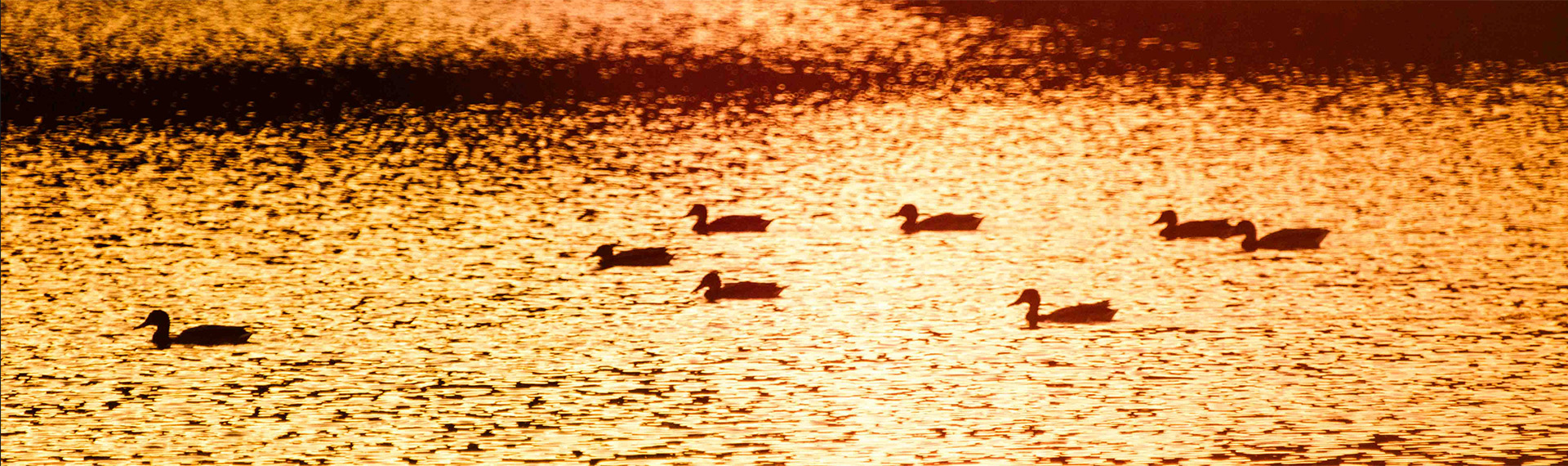 银娱优越会·GEG(中国)股份有限公司